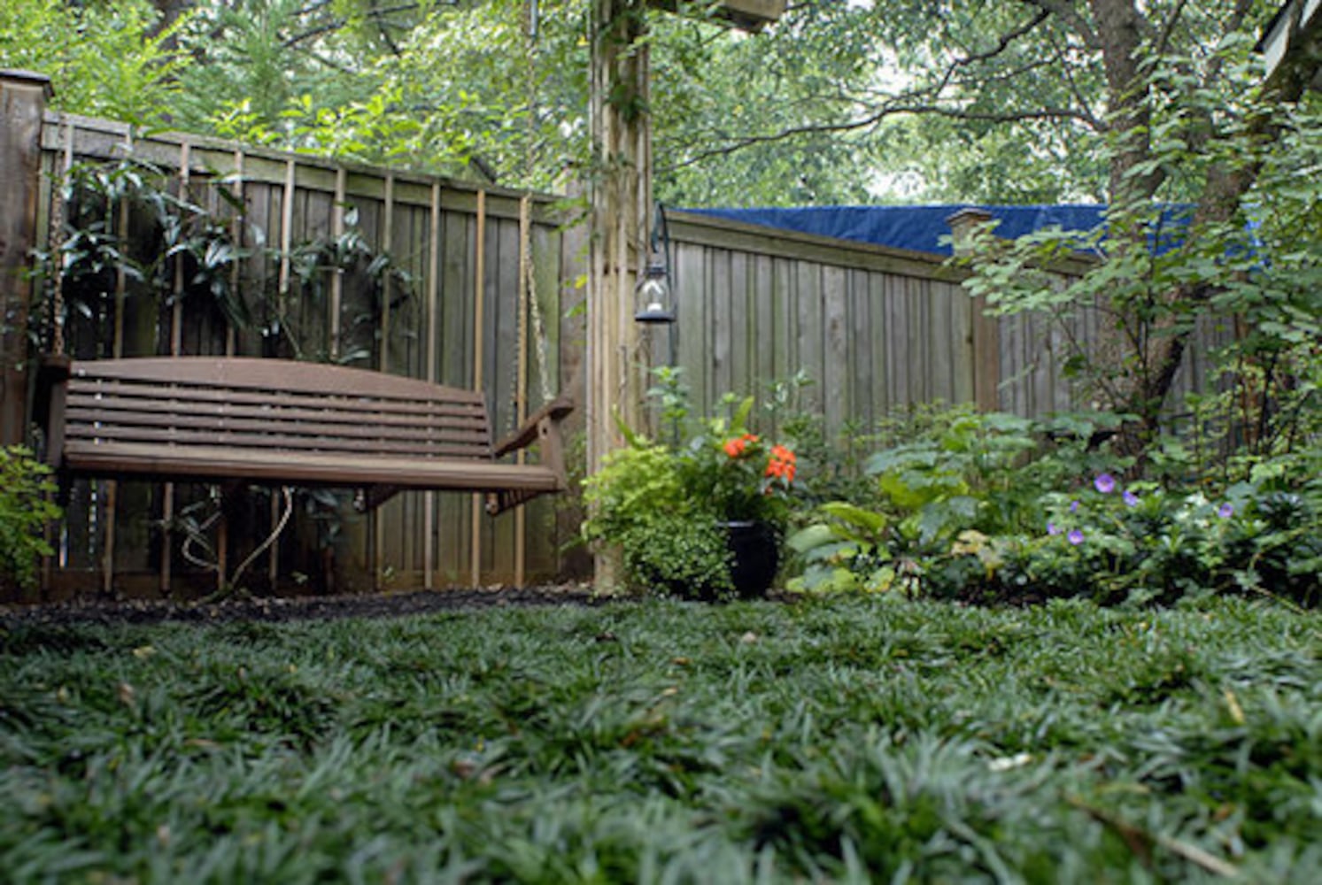 Avondale Estates garden: The 10-year plan