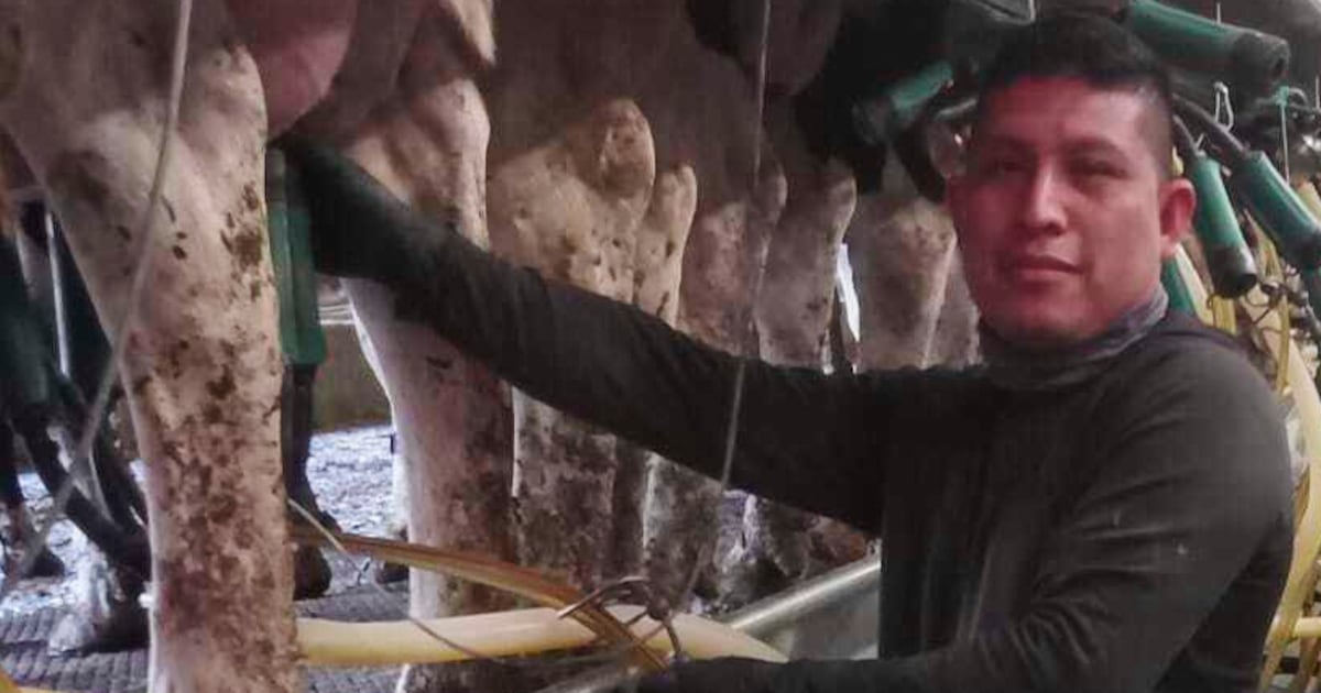 A Vermont dairy farm was raided. The mixed messages from Washington since then have increased fears