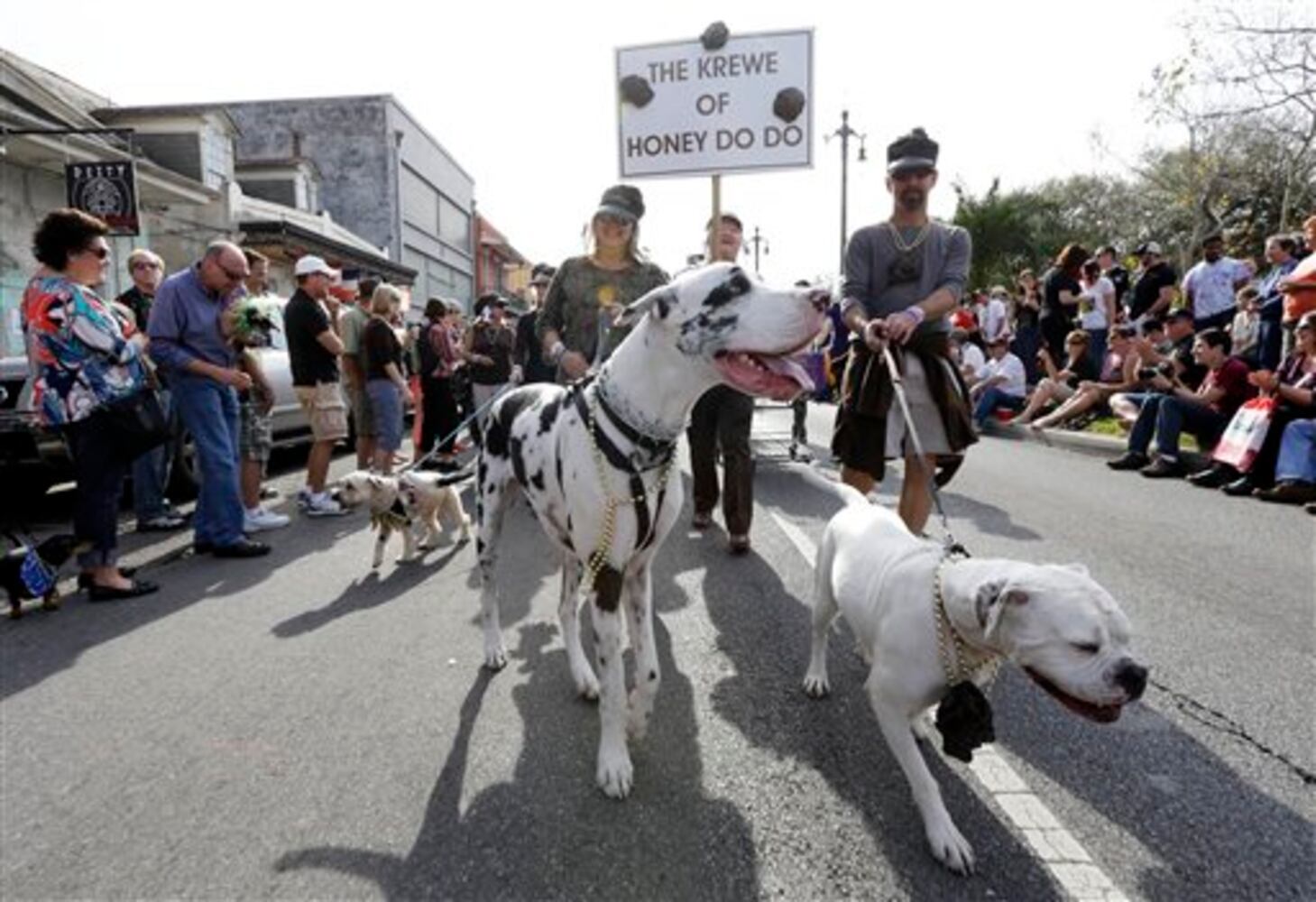 Mardi Gras Barkus Parade 2013