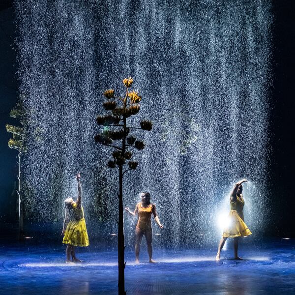 A custom-engineered rain machine creates a curtain of water that showers over performers in “Luzia.” The water droplets are programmed to reveal whimsical shapes and patterns that glisten in the light. (Courtesy of Matt Beard and Anne Colliard)