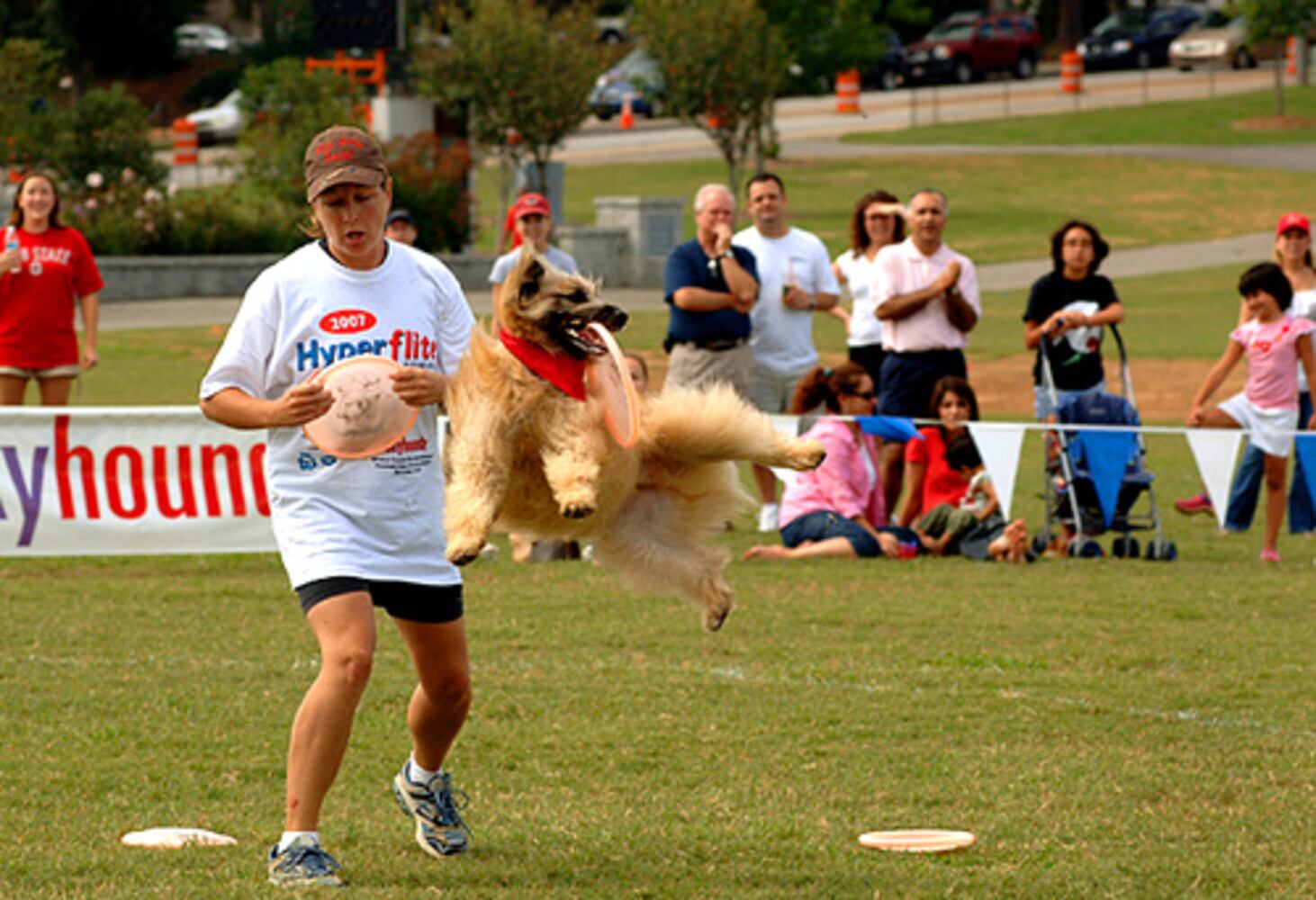 Hyperflite Skyhoundz World Canine Disc Championship