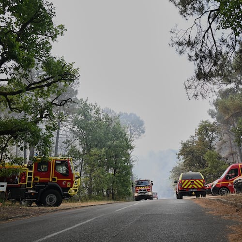Fire trucks are parked near the scene of a wildfire in the region of the historic Fontainebleau forest, about 60 km (37 miles) south of Paris, France, Monday, July 13, 2026. (AP Photo/Emma Da Silva)
