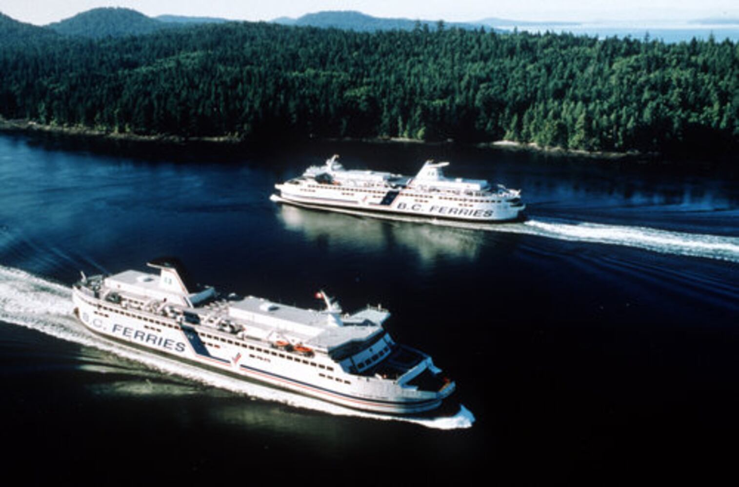 "Twilight" movie cruise in great demand