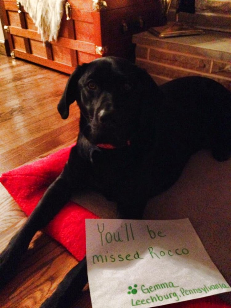 RIP Rocco
