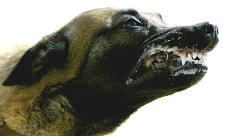 State Farm said May 15, 2013, that it paid out more than $108 million in dog-bite claims in 2012.