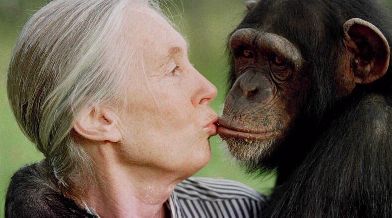 Jane Goodall gives a little kiss to Tess, a female chimpanzee at the Sweetwaters Chimpanzee Sanctuary near Nanyuki, Kenya, north of Nairobi, on Dec. 6, 1997. (AP Photo)