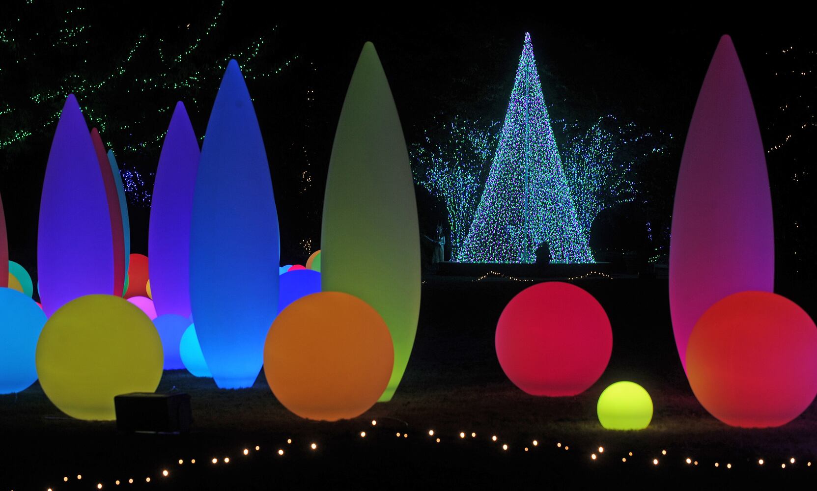 Holiday Lights at Atlanta Botanical Gardens