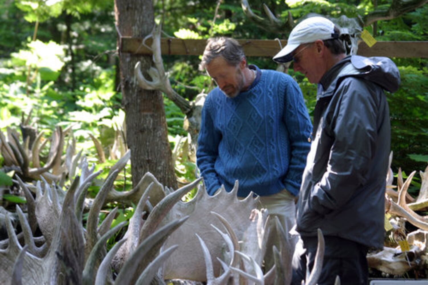 A Day at Isle Royale