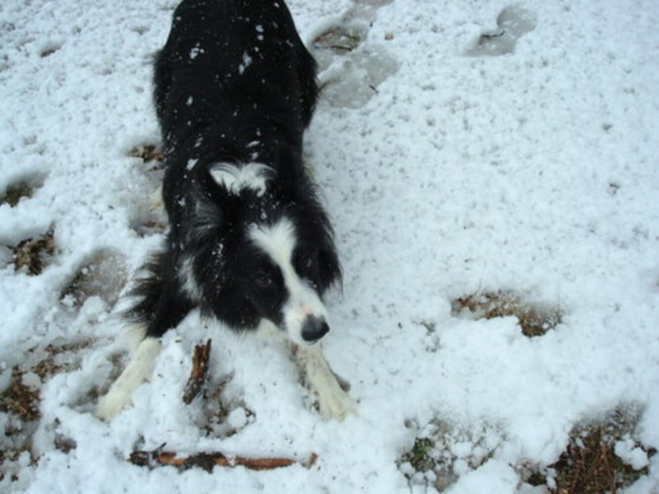 March 1: Reader photos of snow (gallery 2)