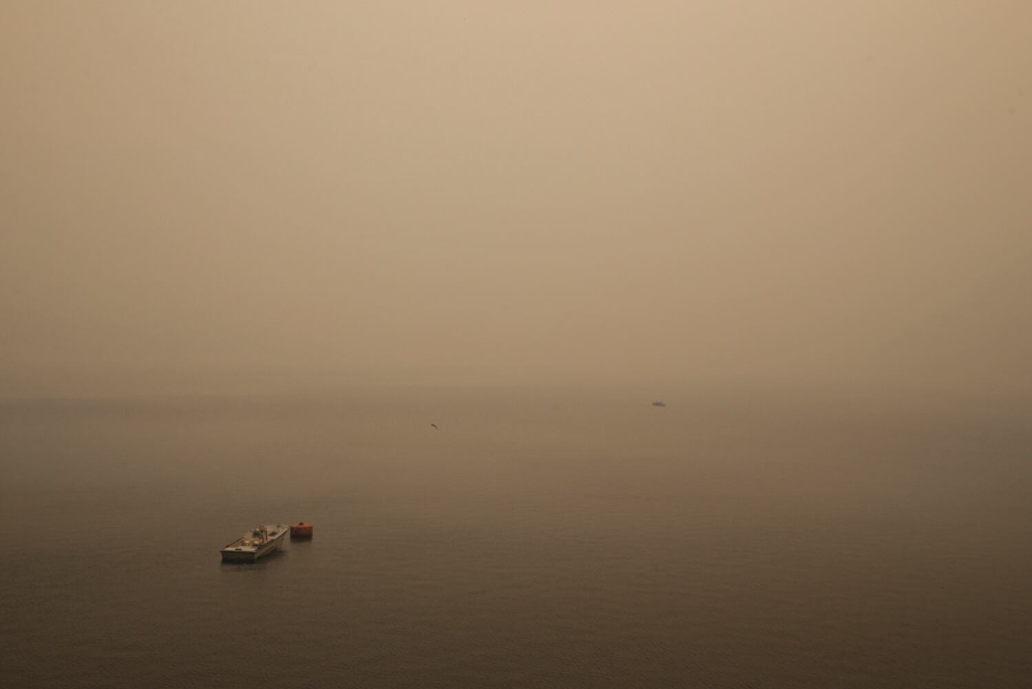 IMAGES: Dramatic 24 hours on Rim Fire line