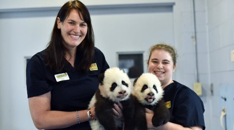 Caring for animals at an accredited zoo such as Zoo Atlanta is a competitive field.