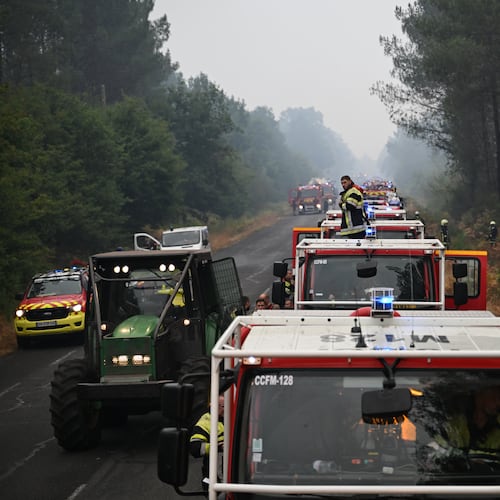 A firefighter stands on a truck on a road near Lacanau, southwestern France, Saturday, July 25, 2026, as wildfires rage in the area. (AP Photo/Emma Da Silva)