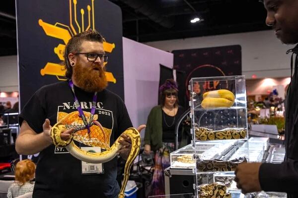 You’ll see and be able to buy a wide variety of reptiles and other exotic pets at the Southeast Reptile Expo at the Gas South Convention Center on Saturday, Aug. 1-Sunday, Aug. 2. (Photo courtesy of the Southeast Reptile Expo)