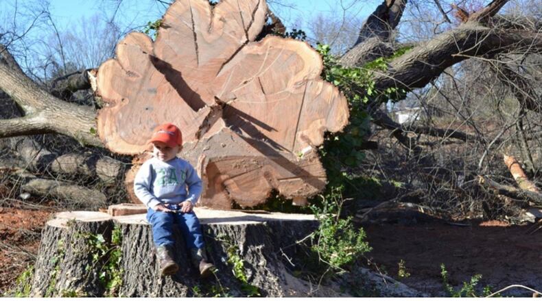 The Duluth Public Art Commission has set aside $12,000 in public art acquisition funding for a “history bench” art project. (Courtesy City of Duluth)