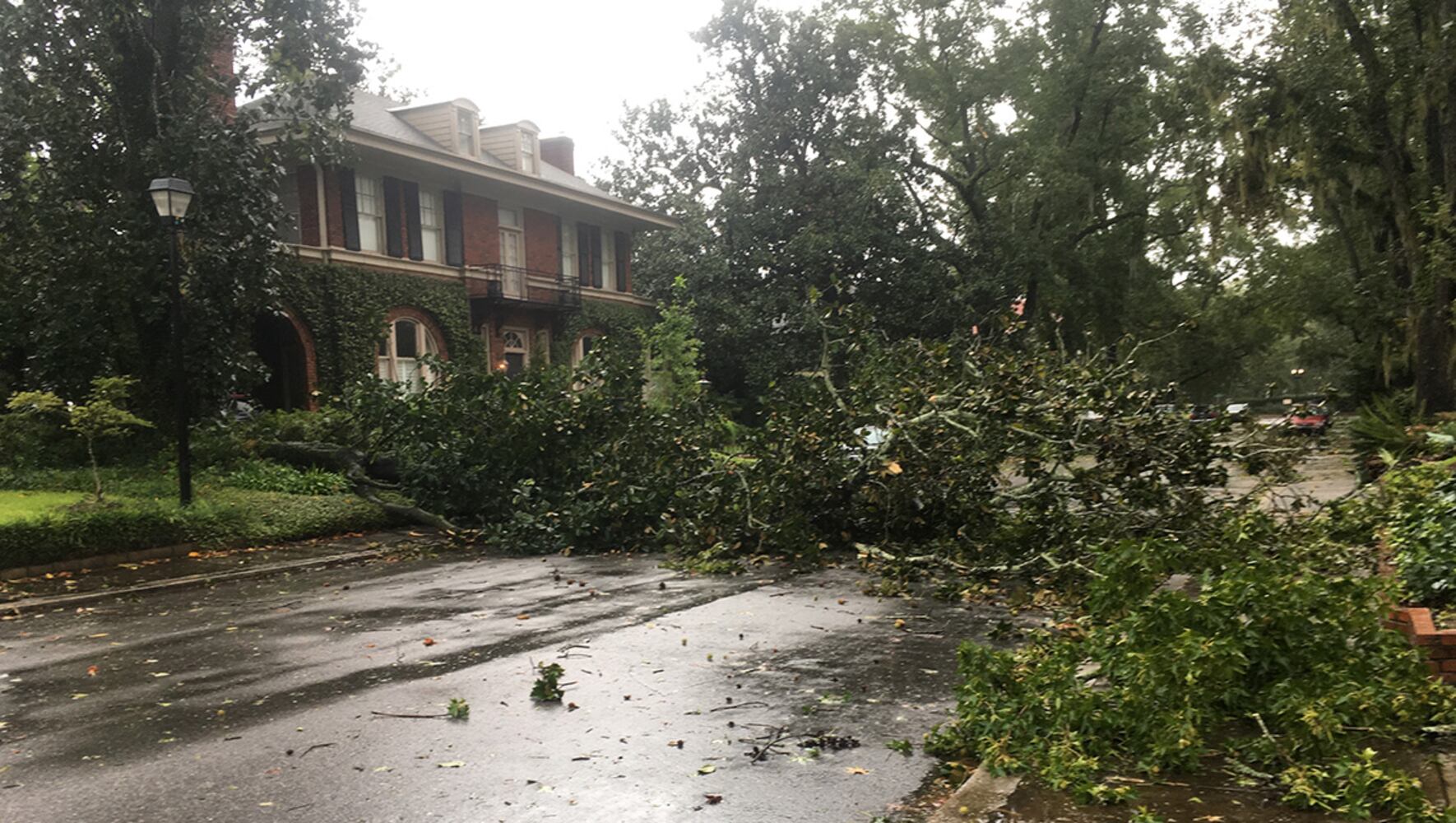 Photos: Irma arrives in Georgia