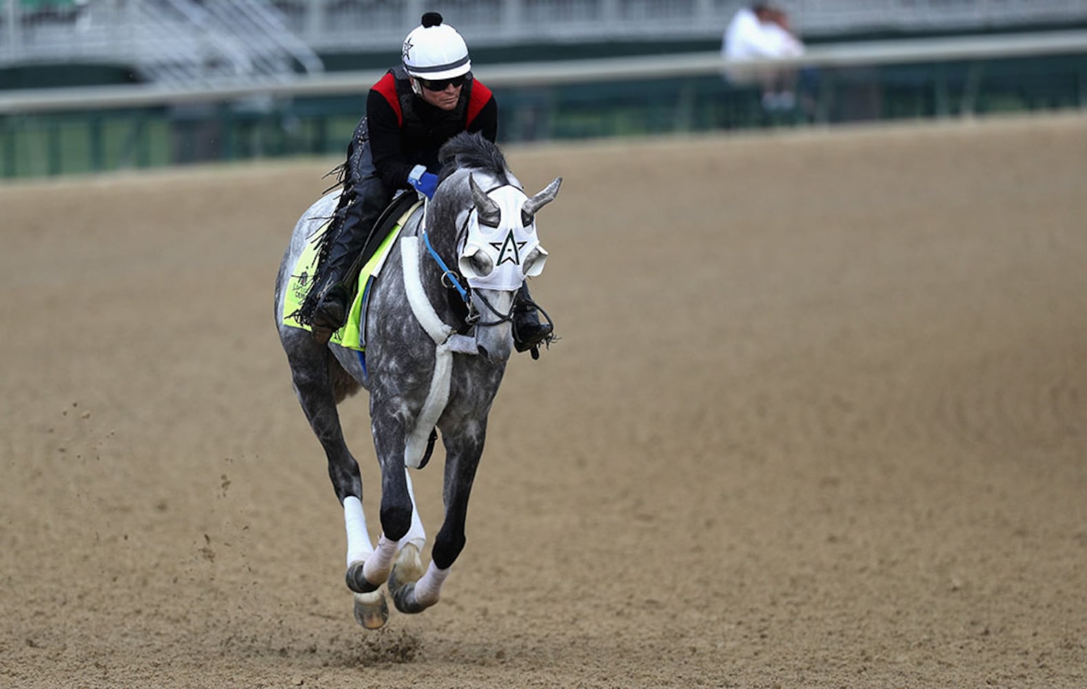 2016 Kentucky Derby field