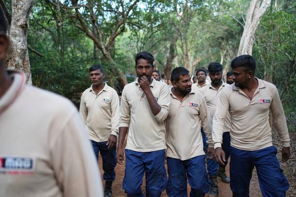Vilvaraj Vinothan, second left, who works for the demining agency Mine Advisory Group, arrives with fellow workers to report at work before entering a contaminated mining area in Mankulam, Sri Lanka, Wednesday, April 2, 2025. (AP Photo/Eranga Jayawardena)