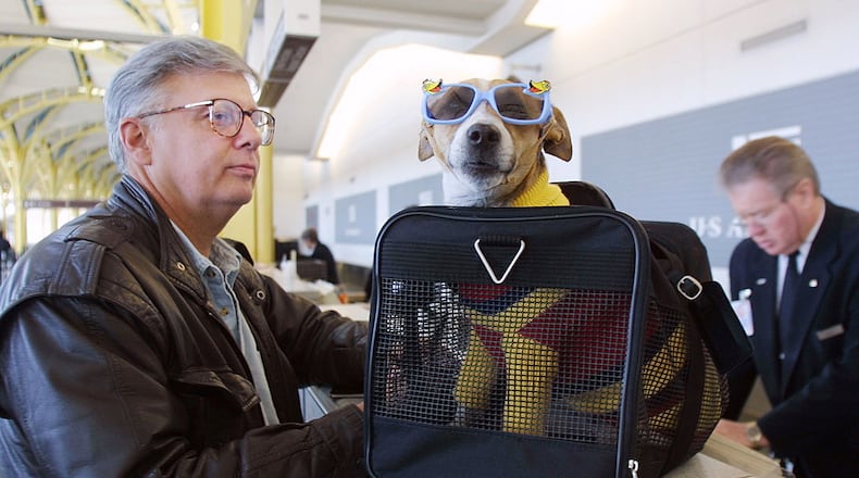 399830 01:  F. Andy Messing Jr. checks in at an airline counter with his pet "Dick the Dog" for a flight to St. Petersburg, Florida January 18, 2002 at Washington DC's Reagan National Airport.  A new law went into effect January 18 requiring airlines to check for explosives, either by machine, hand or bomb-sniffing dog,or by matching each piece of luggage to a passenger on board.  (Photo by Manny Ceneta/Getty Images)