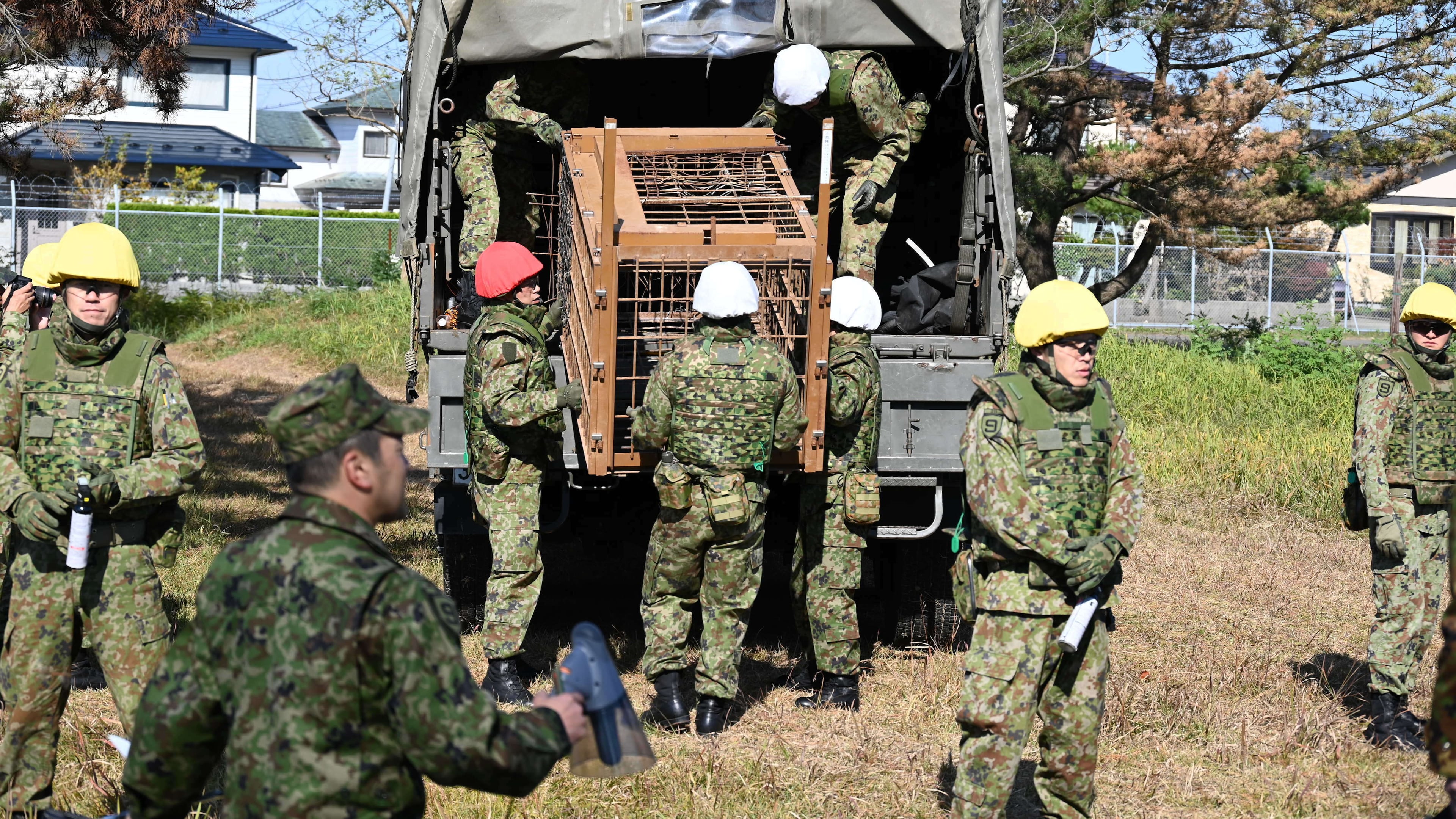 In this photo provided by the Japan Self-Defense Forces Akita Camp, Self-Defense forces personnel unload a bear cage from a military truck in JSDF Akita Camp, Akita, northern Japan, Thursday, Oct. 30, 2025. (JSDF Akita Camp via AP)