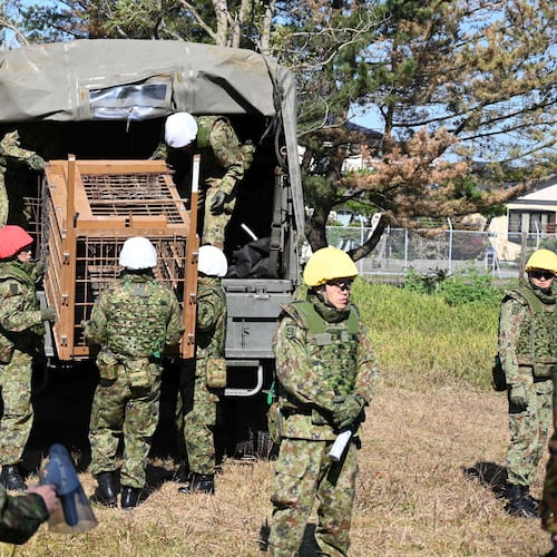 In this photo provided by the Japan Self-Defense Forces Akita Camp, Self-Defense forces personnel unload a bear cage from a military truck in JSDF Akita Camp, Akita, northern Japan, Thursday, Oct. 30, 2025. (JSDF Akita Camp via AP)