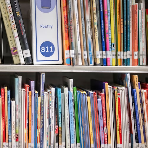 FILE - Books sit on shelves in an elementary school library in suburban Atlanta, on Friday, Aug. 18, 2023. (AP Photo/Hakim Wright Sr., File)