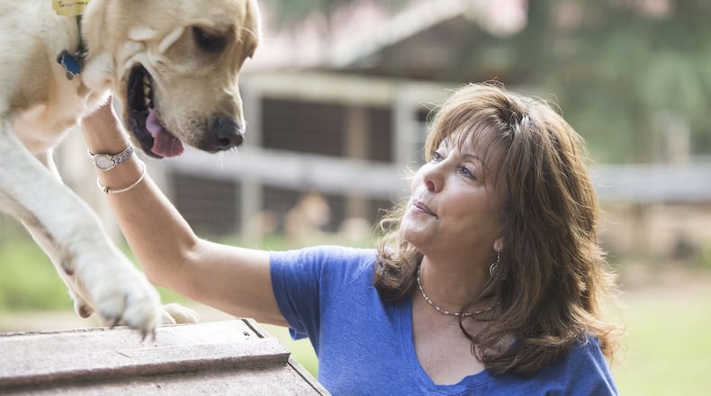 Susie Aga, founder of Atlanta Dog Trainer, communicates with a variety of different dogs using a training ramp within her facility. Credit: Chad Rhym