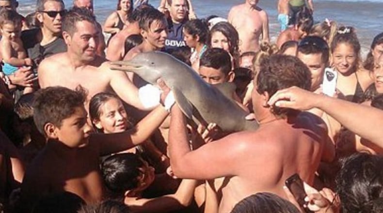 Photo credit: ABC News via Twitter