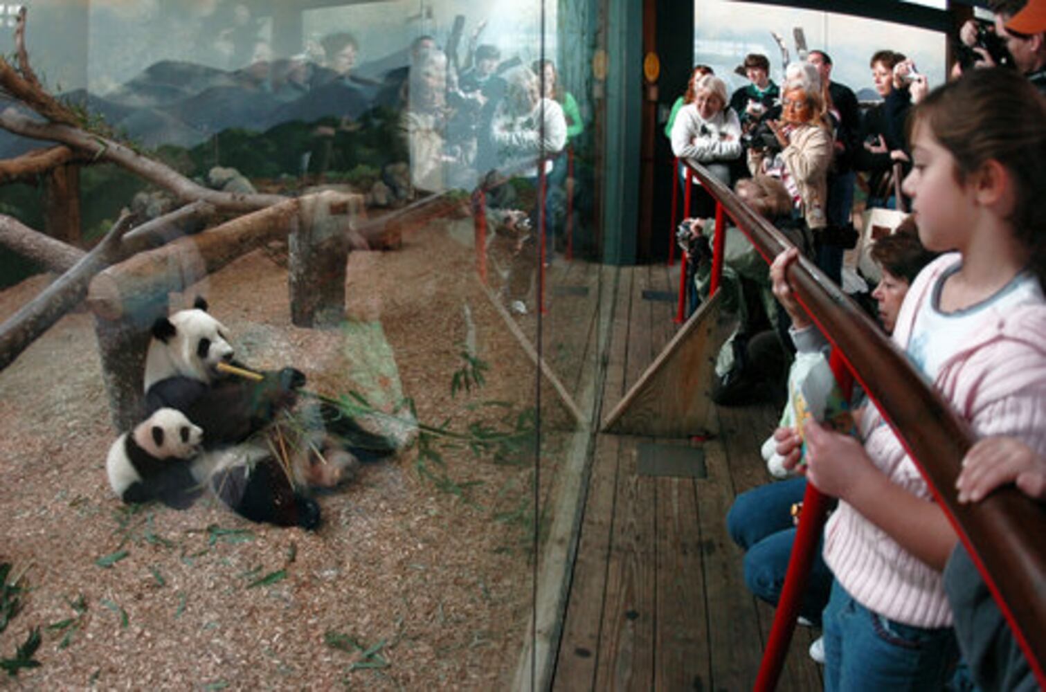 Zoo Atlanta's expansion plans