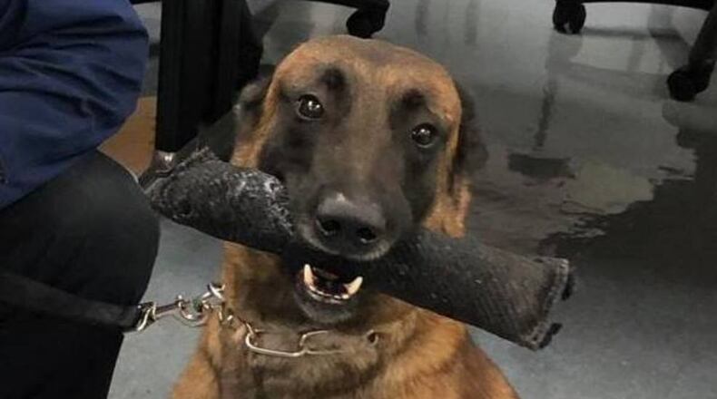 Nero was the hero for the Oregon State Police as he sniffed out 124 pounds of meth in a vehicle on Nov. 21.