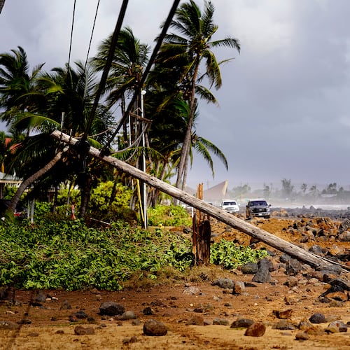 Damage caused by Hurricane Lowell is seen on Tuesday, Sept. 8, 2026 in Poʻipū on Kauaʻi's south shore, in Hawaii. (Kevin Fujii/Honolulu Civil Beat via AP)