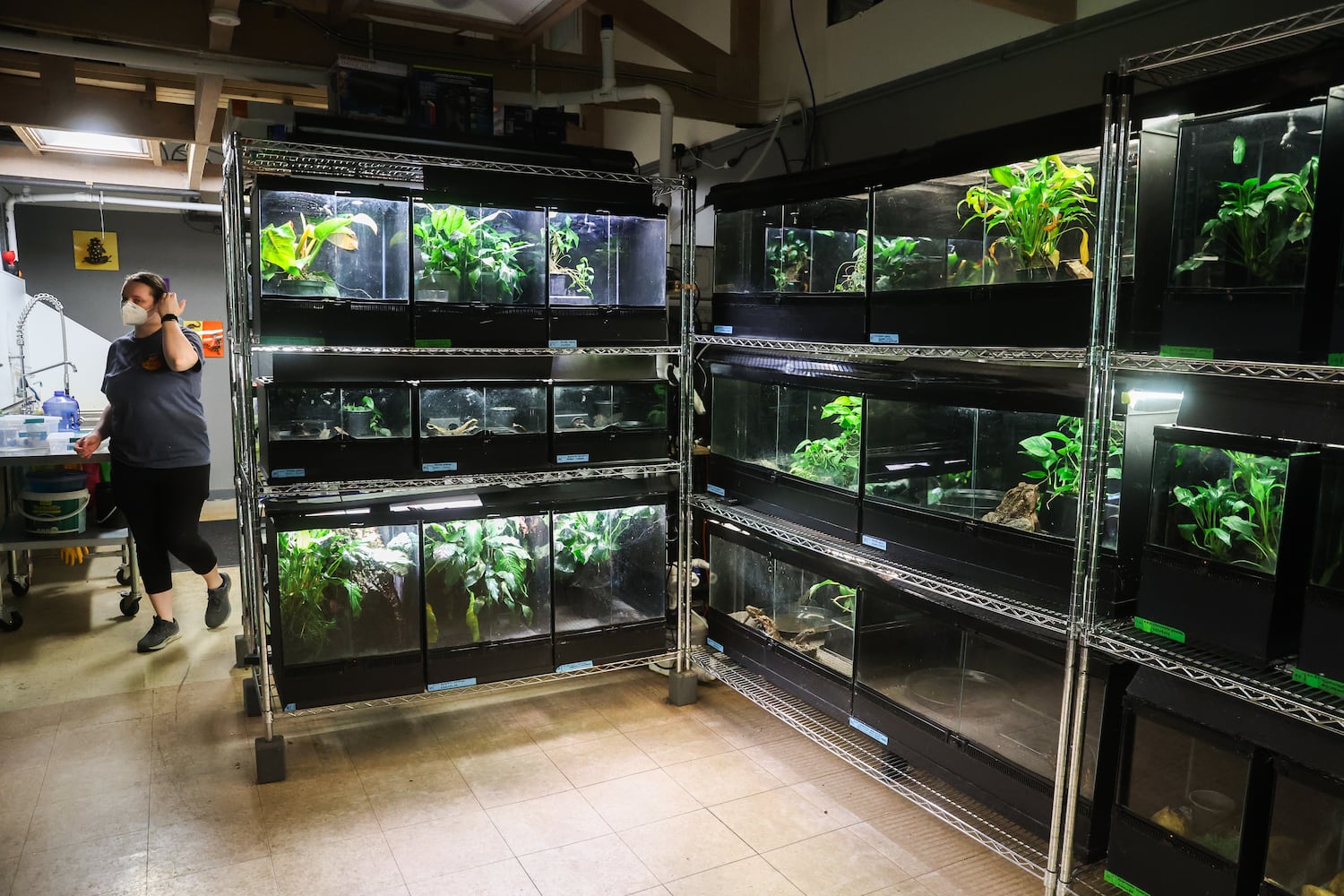 Buckhead-based Amphibian Foundation poised for relocation