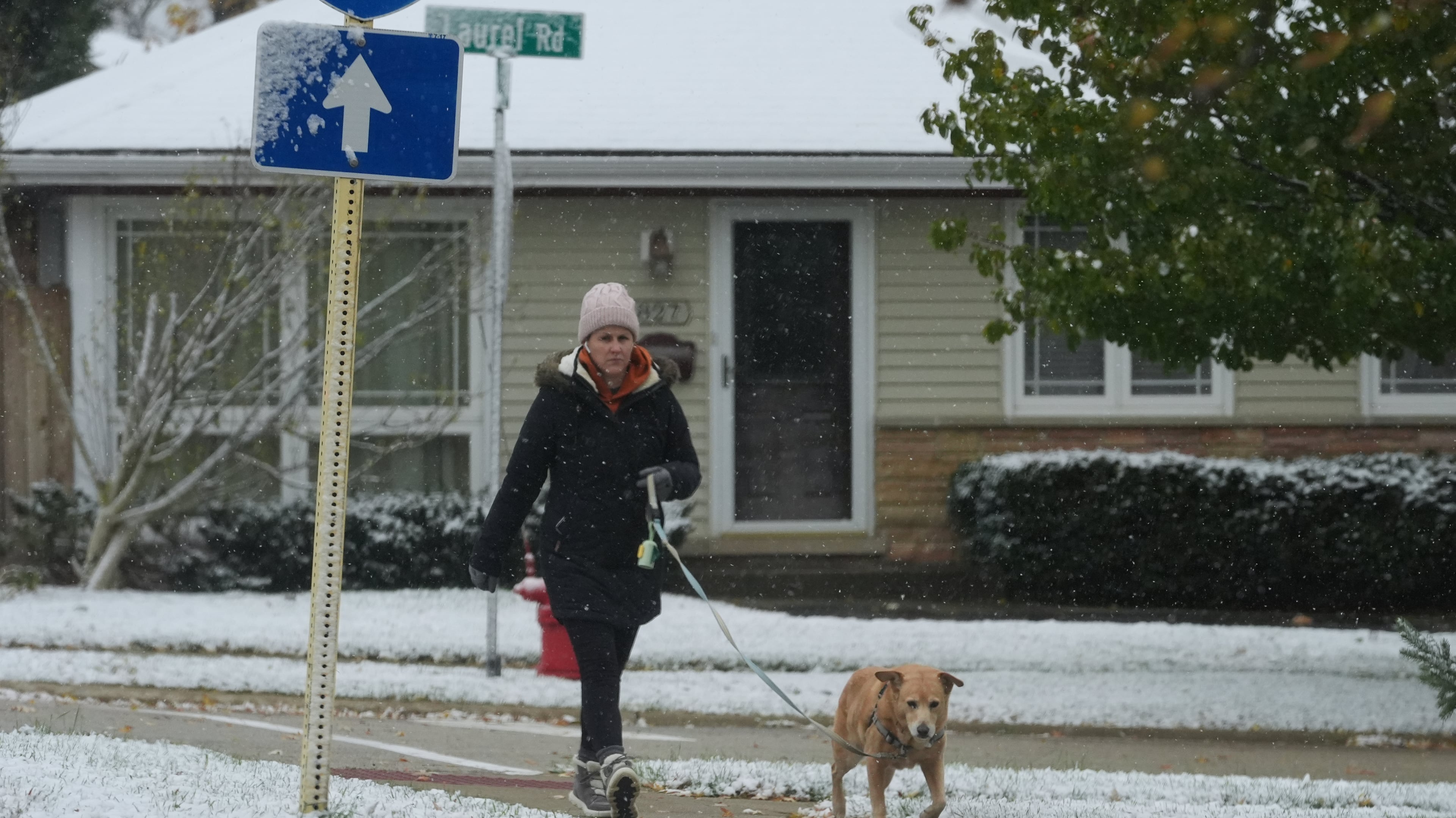 A pedestrian bundles up as she takes a walk with her dog during a snowy day in Northbrook, Ill., Sunday, Nov. 9, 2025. (AP Photo/Nam Y. Huh)