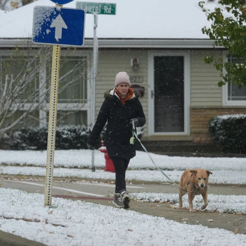 A pedestrian bundles up as she takes a walk with her dog during a snowy day in Northbrook, Ill., Sunday, Nov. 9, 2025. (AP Photo/Nam Y. Huh)