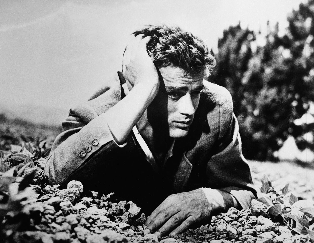 Near-miss: James Dean