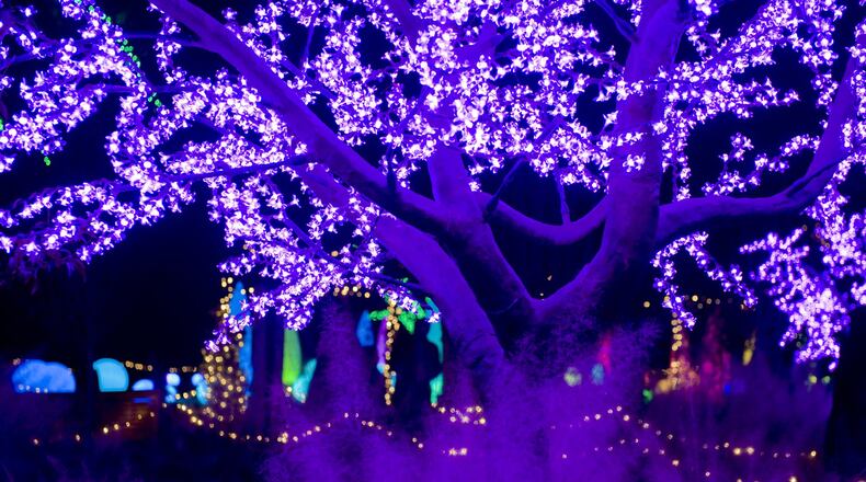 Atlanta Botanical Garden, Garden Lights, Holiday Nights returns.