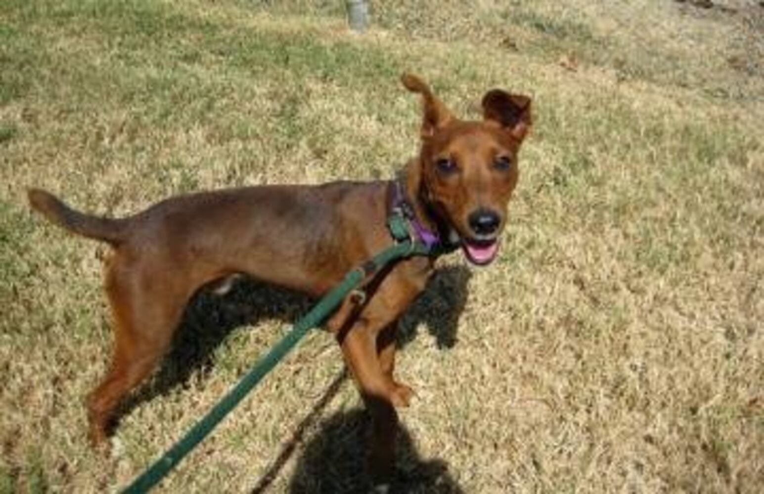 Can you find me a home, please?
