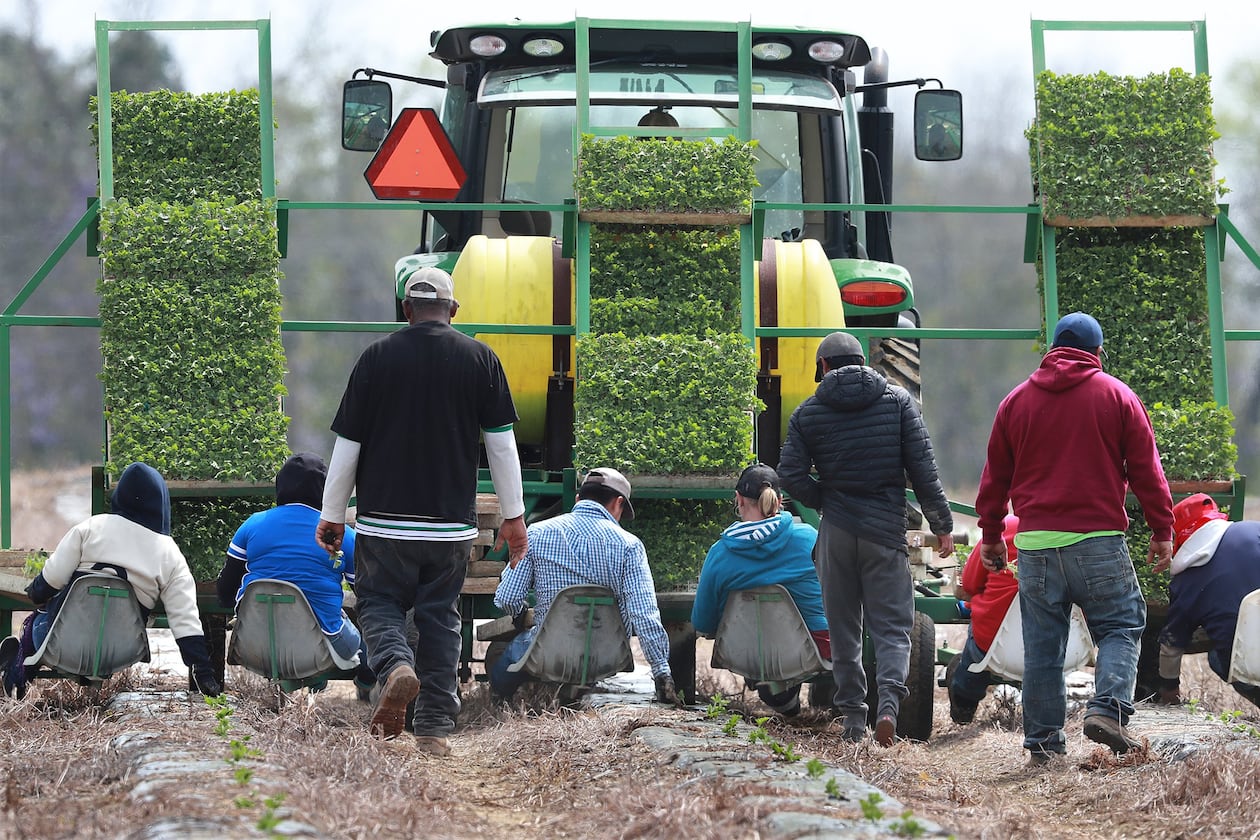Farmworkers hand-plant rows of watermelon while riding on a seat platform behind a tractor at the Sweet Dixie Melon farm in Tift County on March 19, 2019, in Ty Ty, Georgia. (Curtis Compton/AJC 2019)
