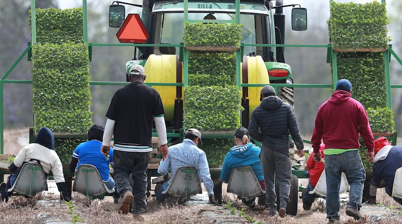 Farmworkers hand-plant rows of watermelon while riding on a seat platform behind a tractor at the Sweet Dixie Melon farm in Tift County on March 19, 2019. CURTIS COMPTON / CCOMPTON@AJC.COM
