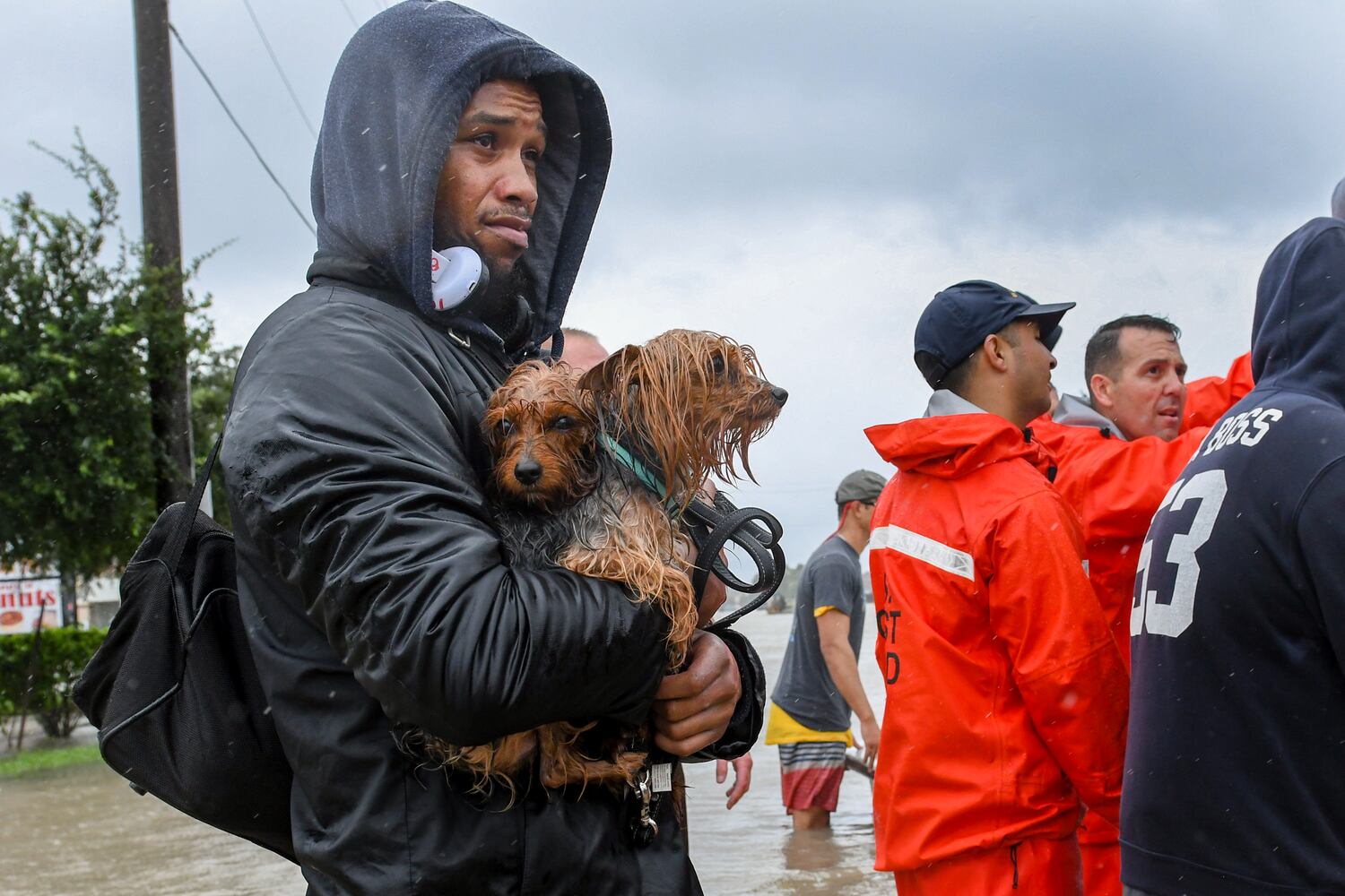 Photos: Harvey’s impact on people and pets