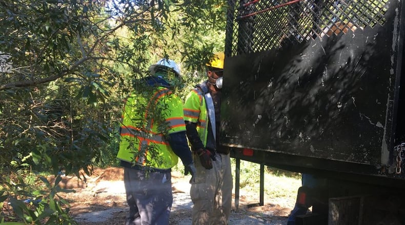 After apologizing for the error Tuesday, the Georgia Department of Transportation and other crews started removing the deer carcasses from a metro Atlanta dead-end road.