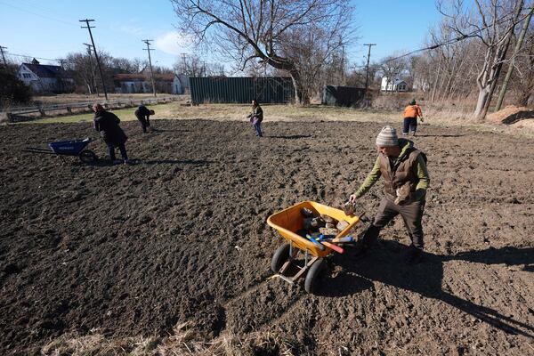 Andrew "Birch" Kemp helps clear debris from a Arboretum Detroit planting site in Detroit, Friday, March 21, 2025. (AP Photo/Paul Sancya)
