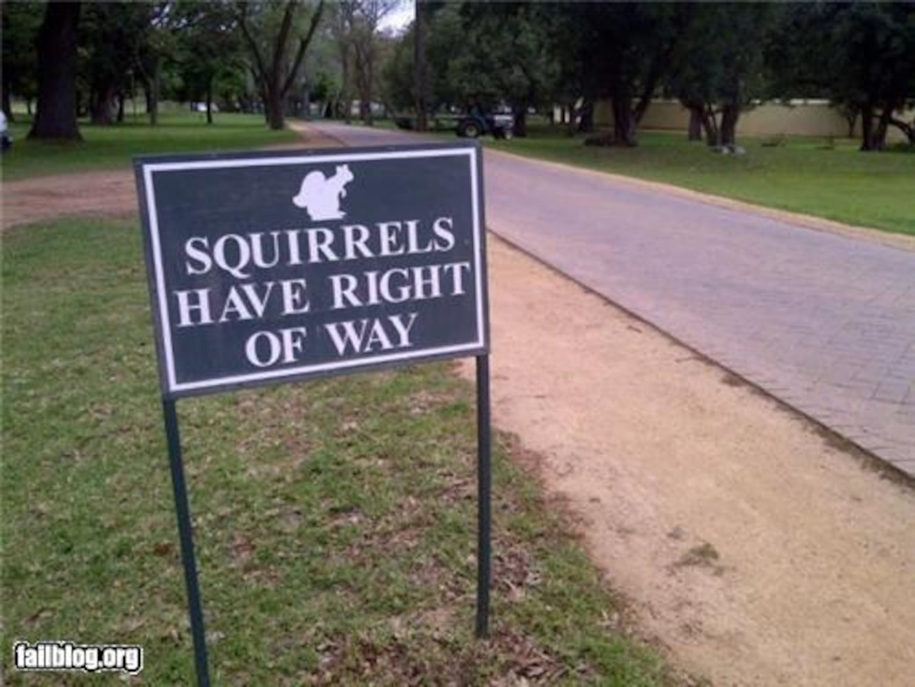 Funny signs