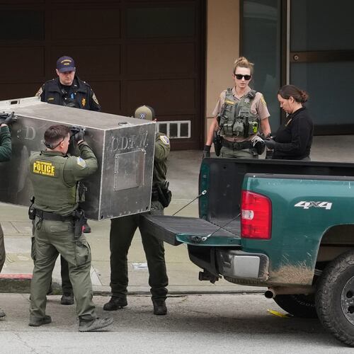 California Fish and Wildlife officials carry a tranquilized mountain lion in a cage after it was captured on Tuesday, Jan. 27, 2026, in San Francisco. (AP Photo/Andy Bao)