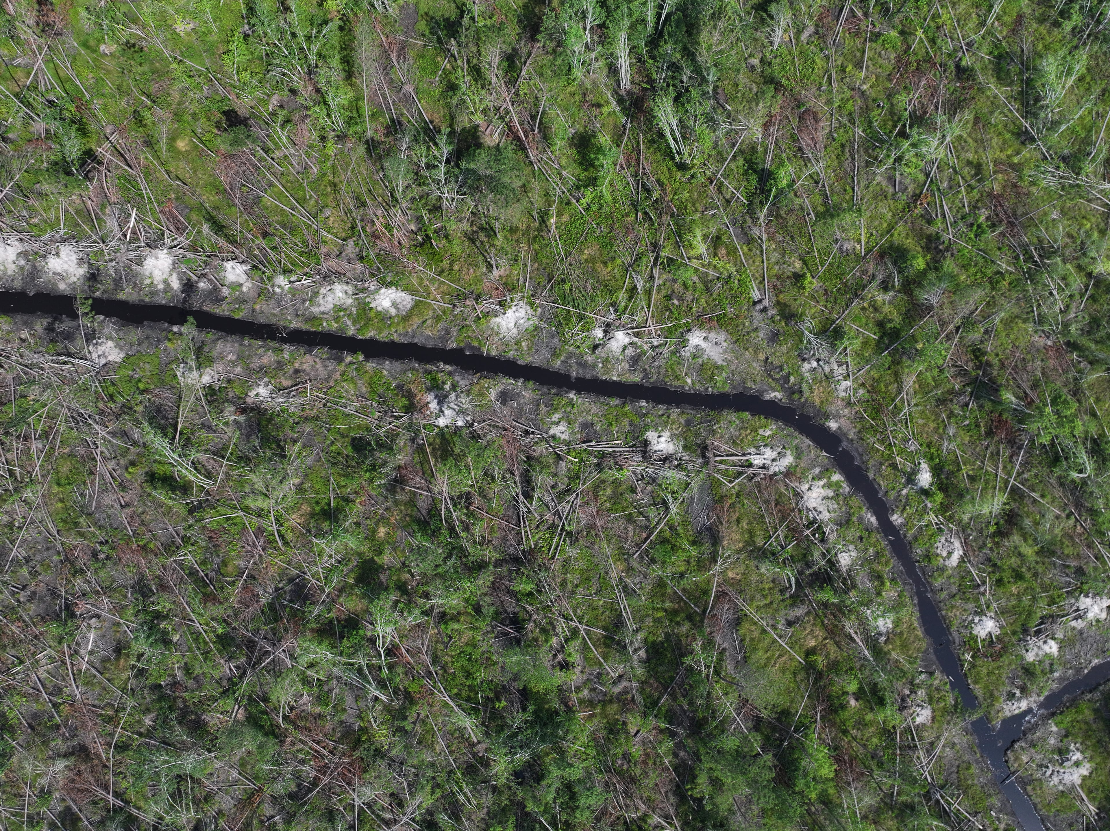 Hurricane Helene caused an estimated $5.5 billion in damage to Georgia’s agriculture industry, according to the University of Georgia. The storm hit the state’s timber industry harder than almost any other sector, Drew Walker said, and unlike other crops, timber isn’t insurable. (Hyosub Shin/AJC)
