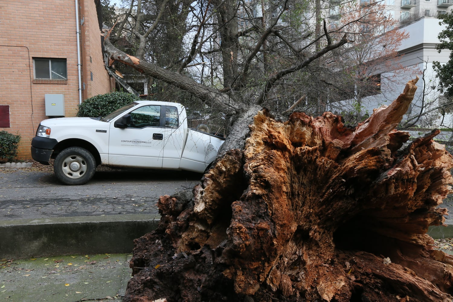 Tree falls on 13th Street west of Piedmont