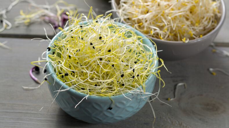 Raw sprouts are dangerous because of their growing process. (Dreamstime)
