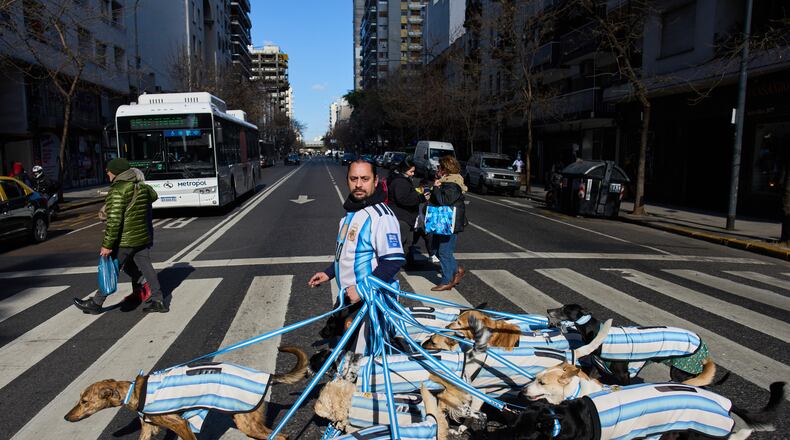 Dog walker Nahuel Meneghini walks dogs dressed in jerseys of the Argentine national soccer team in Buenos Aires, Argentina, Thursday, July 2, 2026. (AP Photo/Rodrigo Abd)