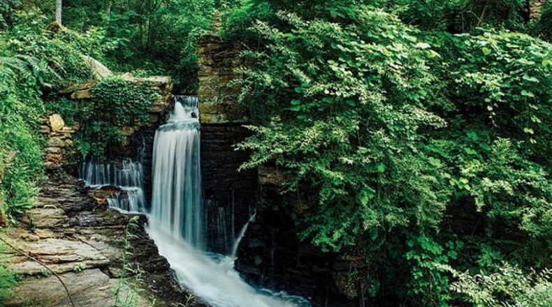 The Smyrna City Council has agreed to be one of 10 Metro Atlanta cities that will join with 10 local nonprofits to plant and save 1 million trees in the metro area over the next 10 years. (Courtesy of Trees Atlanta)