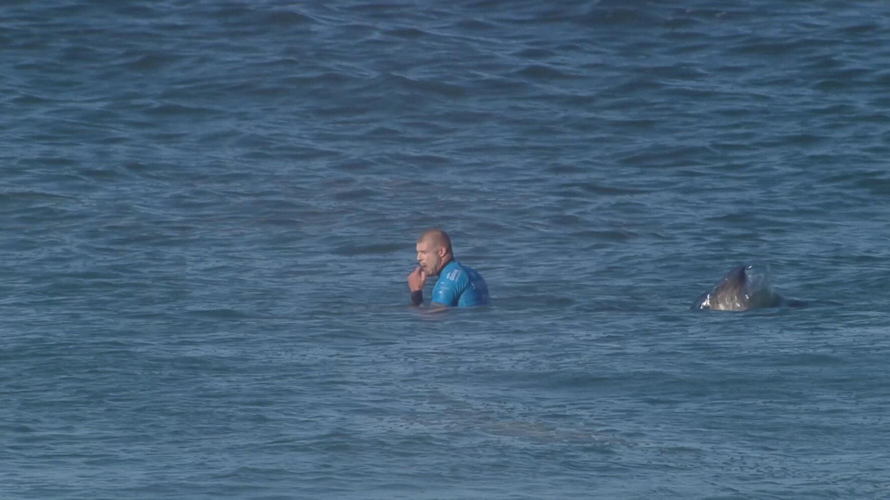 Shark attacks surfer Mick Fanning live on TV