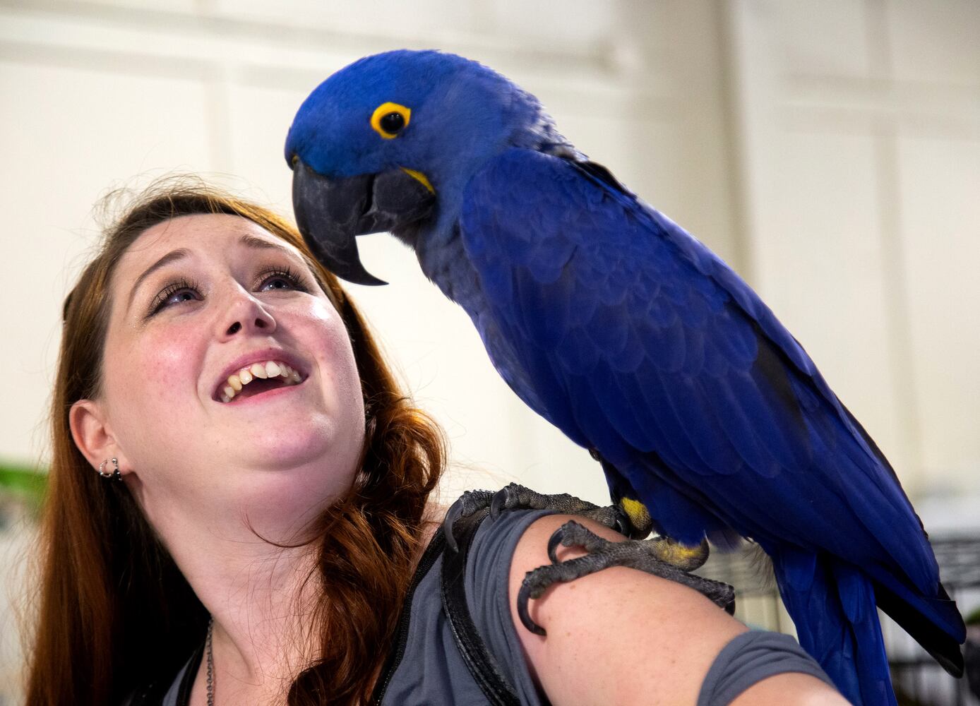 PHOTOS: SA Exotic birds
